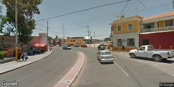 DEPARTAMENTO DE ECOLOGÍA